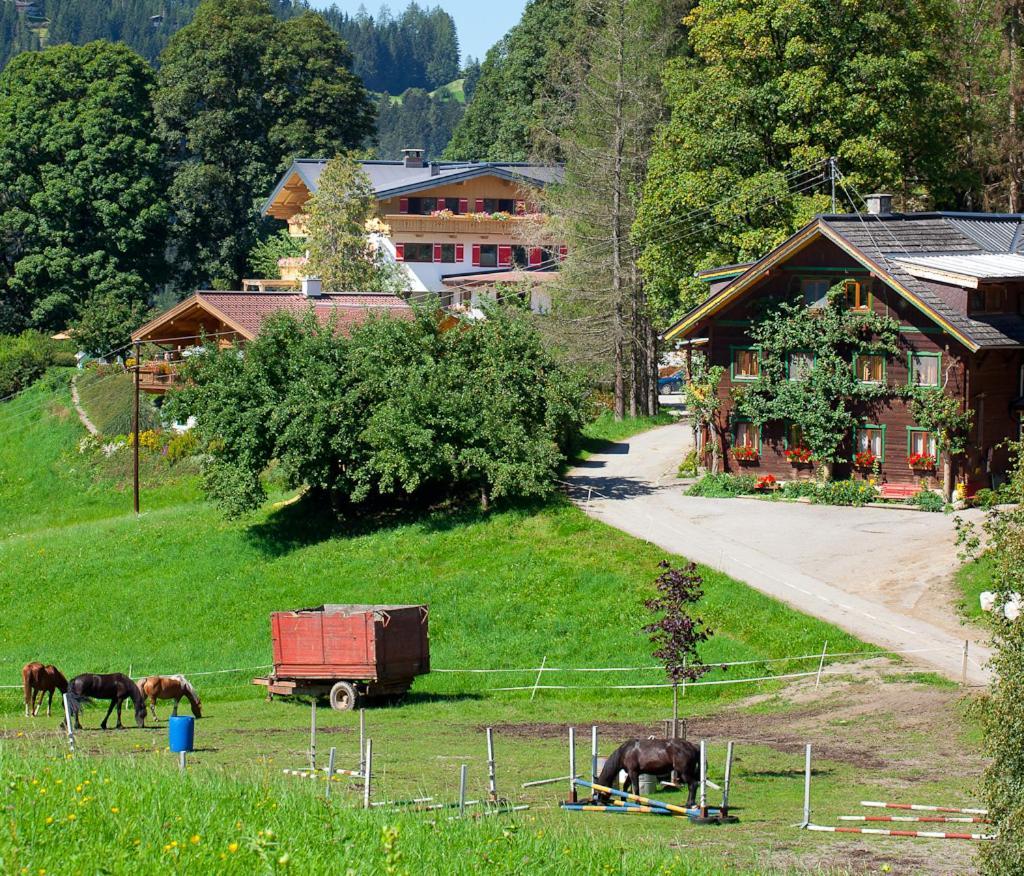 Zauchtaler Hof Hotel อัลเทนมาร์คท์ อิม พองเงา ภายนอก รูปภาพ